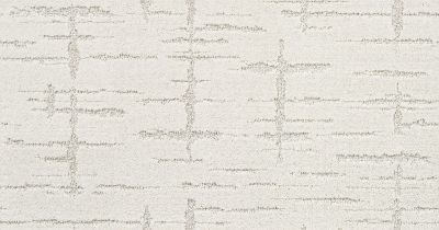 Shaw Floors Nfa/Apg Refined Affect Calm 00101_NA251