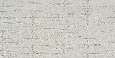 Shaw Floors Nfa/Apg Refined Affect Delicate 00103_NA251