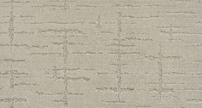 Shaw Floors Nfa/Apg Refined Affect Soft Spoken 00107_NA251