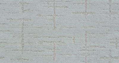 Shaw Floors Nfa/Apg Refined Affect Sky Washed 00400_NA251