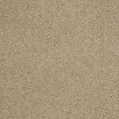 Shaw Floors Nfa/Apg Phenomenal Wool Skein 00111_NA260