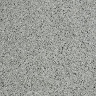 Shaw Floors Nfa/Apg Phenomenal Drizzle 00414_NA260