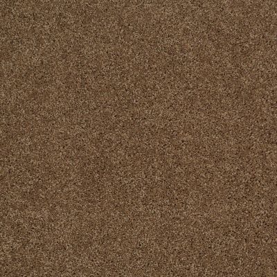 Shaw Floors Nfa/Apg Phenomenal Travertine 00711_NA260