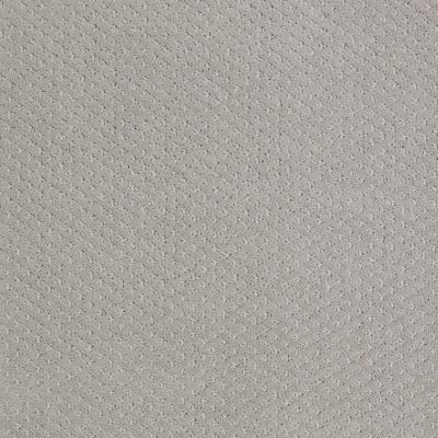 Shaw Floors Nfa/Apg Meaningful Design Sea Salt 00512_NA265