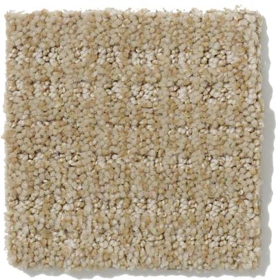 Shaw Floors Nfa/Apg Breakthrough Frost 52K72_00104