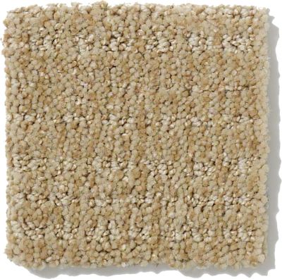 Shaw Floors Nfa/Apg Breakthrough Field Stone 52K72_00105