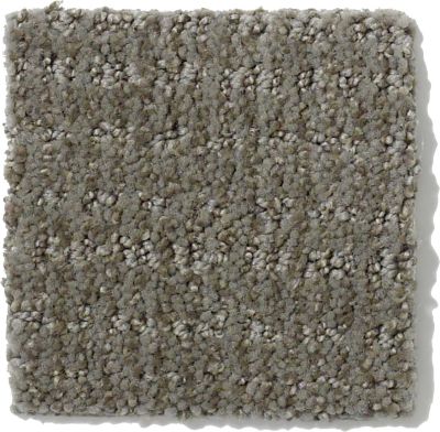 Shaw Floors Nfa/Apg Breakthrough Pewter 52K72_00513