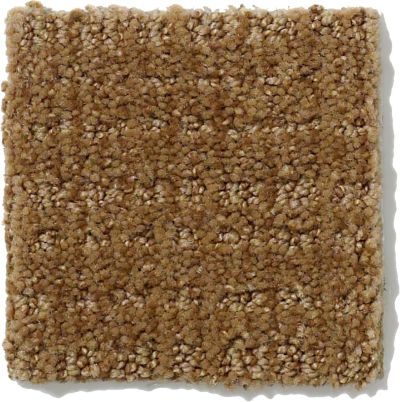 Shaw Floors Nfa/Apg Breakthrough Leather Bound 52K72_00702