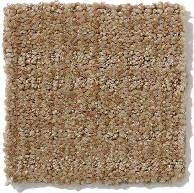 Shaw Floors Nfa/Apg Breakthrough Mushroom 52K72_00703