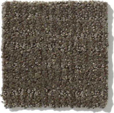Shaw Floors Nfa/Apg Breakthrough Graphite 52K72_00712