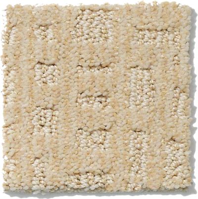 Shaw Floors Nfa/Apg Instant Impact Winter White 52507_00100