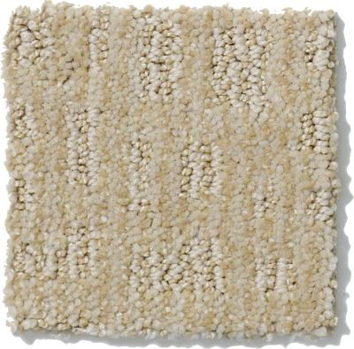 Shaw Floors Nfa/Apg Instant Impact Canvas 52507_00103
