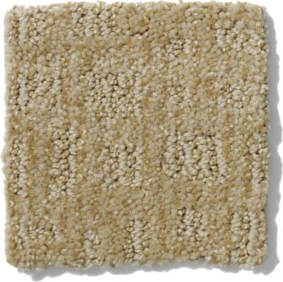 Shaw Floors Nfa/Apg Instant Impact Wool Skein 52507_00111
