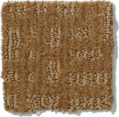 Shaw Floors Nfa/Apg Instant Impact Leather Bound 52507_00702