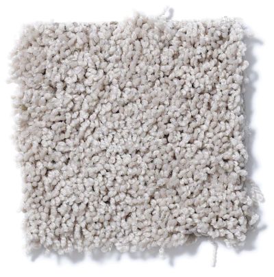Shaw Floors Nfa/Apg Leading Legacy Pebble 52V25_00102