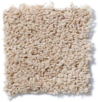 Shaw Floors Nfa/Apg Leading Legacy New Pastry 52V25_00105