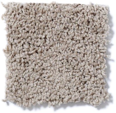 Shaw Floors Nfa/Apg Leading Legacy Birch Bark 52V25_00107