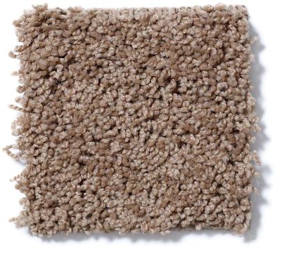 Shaw Floors Nfa/Apg Leading Legacy Barn Wood 52V25_00700