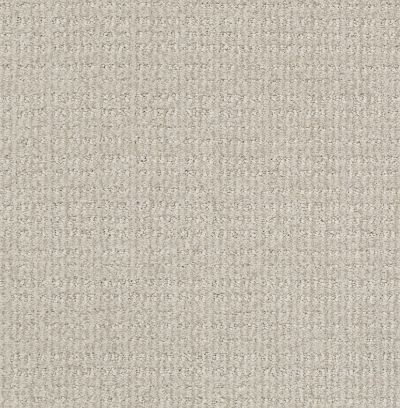 Shaw Floors Nfa Common Ground Quiet Moment 00175_NA450