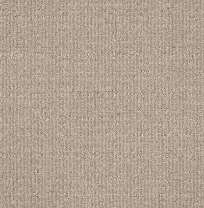 Shaw Floors Nfa Common Ground Park Avenue 00770_NA450