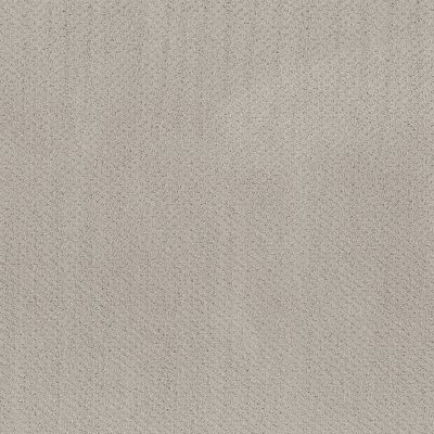 Shaw Floors Nfa Main Squeeze Split Sediment 00104_NA452