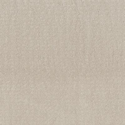 Shaw Floors Latest Thing Serene Still 00101_NA454