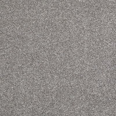 Shaw Floors Nfa Always On Time Washed Gray 00593_NA456