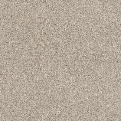 Shaw Floors Pet Perfect Plus Calm Embrace I Washed Linen 00103_NA458
