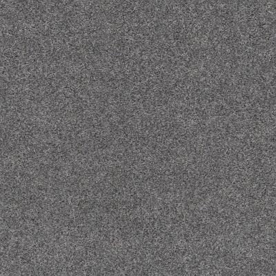 Shaw Floors Pet Perfect Plus Calm Embrace I Stormy Breeze 00501_NA458