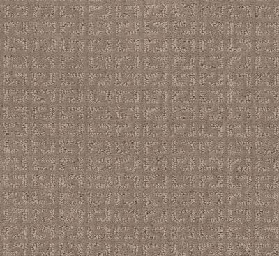 Shaw Floors Endless Charm Shadow 00109_NA463