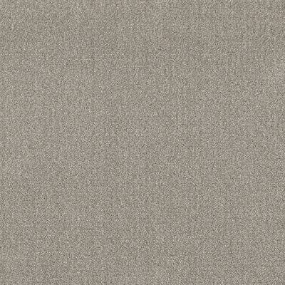Shaw Floors Nfa True Story Fossil 00505_NA465