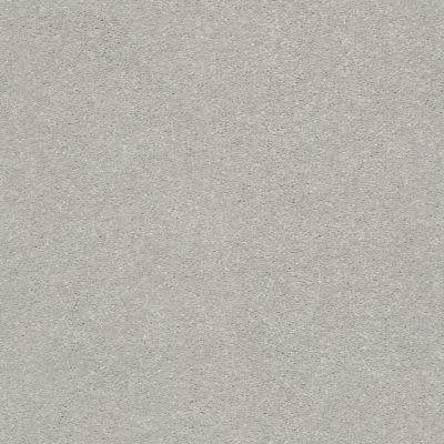 Shaw Floors Nfa Finders Keepers Platinum 0500S_NA471