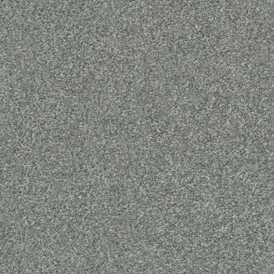Shaw Floors Nfa Finders Keepers Arctic Shadow 0521T_NA471