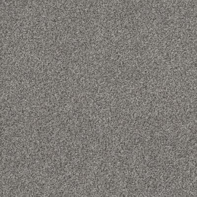 Shaw Floors Nfa Out Of Reach II Grey Fox 00504_NA473