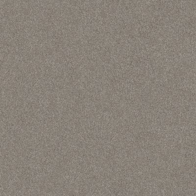 Shaw Floors Nfa Get After It III Spinning Wheel 00133_NA477