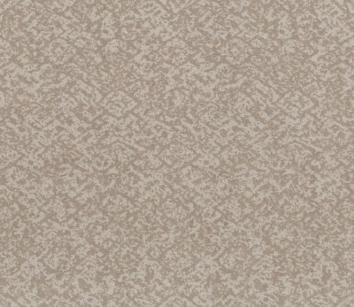 Shaw Floors Nfa Flowing Spirit Baltic Stone 00128_NA490