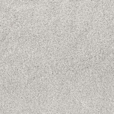 Shaw Floors Nfa Quiet Excuse Snow Cap 00100_NA502
