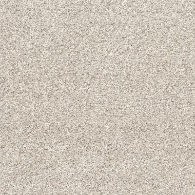 Shaw Floors Nfa Quiet Excuse Washed Linen 00103_NA502