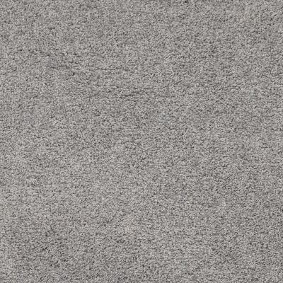 Shaw Floors Nfa Quiet Excuse Newstone Haven 00502_NA502
