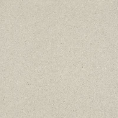 Shaw Floors Nfa Relentless II 12 Minimalist 00100_NA505