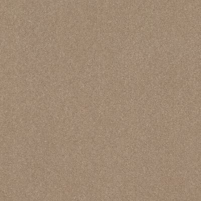 Shaw Floors Nfa Relentless III 12 Raw Lumber 00102_NA507