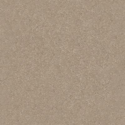 Shaw Floors Nfa Relentless III 15 Raw Lumber 00102_NA508