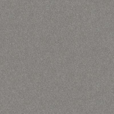 Shaw Floors Nfa Memorable III Sentimental 00538_NA511