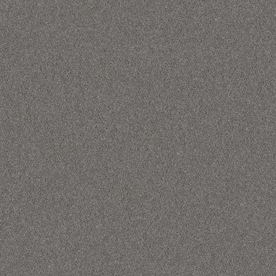Shaw Floors Nfa Provisional I Silver Spoon 00502_NA518