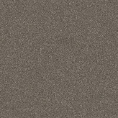 Shaw Floors Nfa Provisional II Travatan 00104_NA519