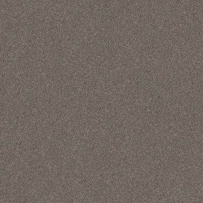 Shaw Floors Nfa Provisional II Misty Mica 00105_NA519