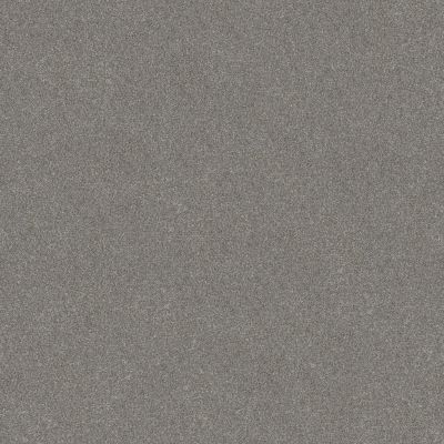 Shaw Floors Nfa Provisional II Stainless 00500_NA519