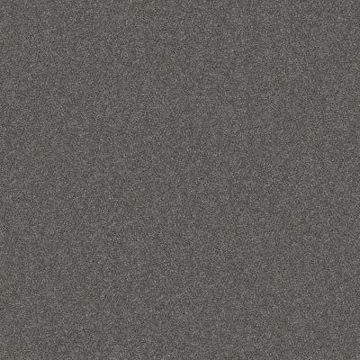 Shaw Floors Nfa Provisional III Granite 00503_NA520