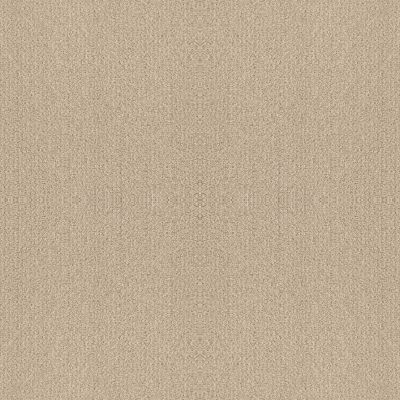 Shaw Floors Nfa Rare Find Sun Kissed 00110_NA526