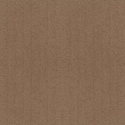 Shaw Floors Nfa Rare Find Raw Wood 00720_NA526